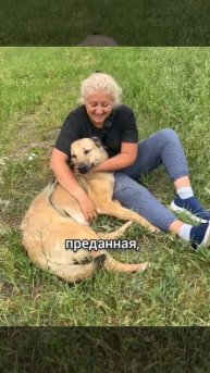 Аврора из приюта ищет дом /Москва, Некрасовка