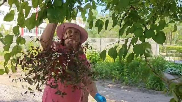 Уход за огородом  и благоустройство территории. ГБССУ СО ГПВИ «Волгоградский ПНИ»