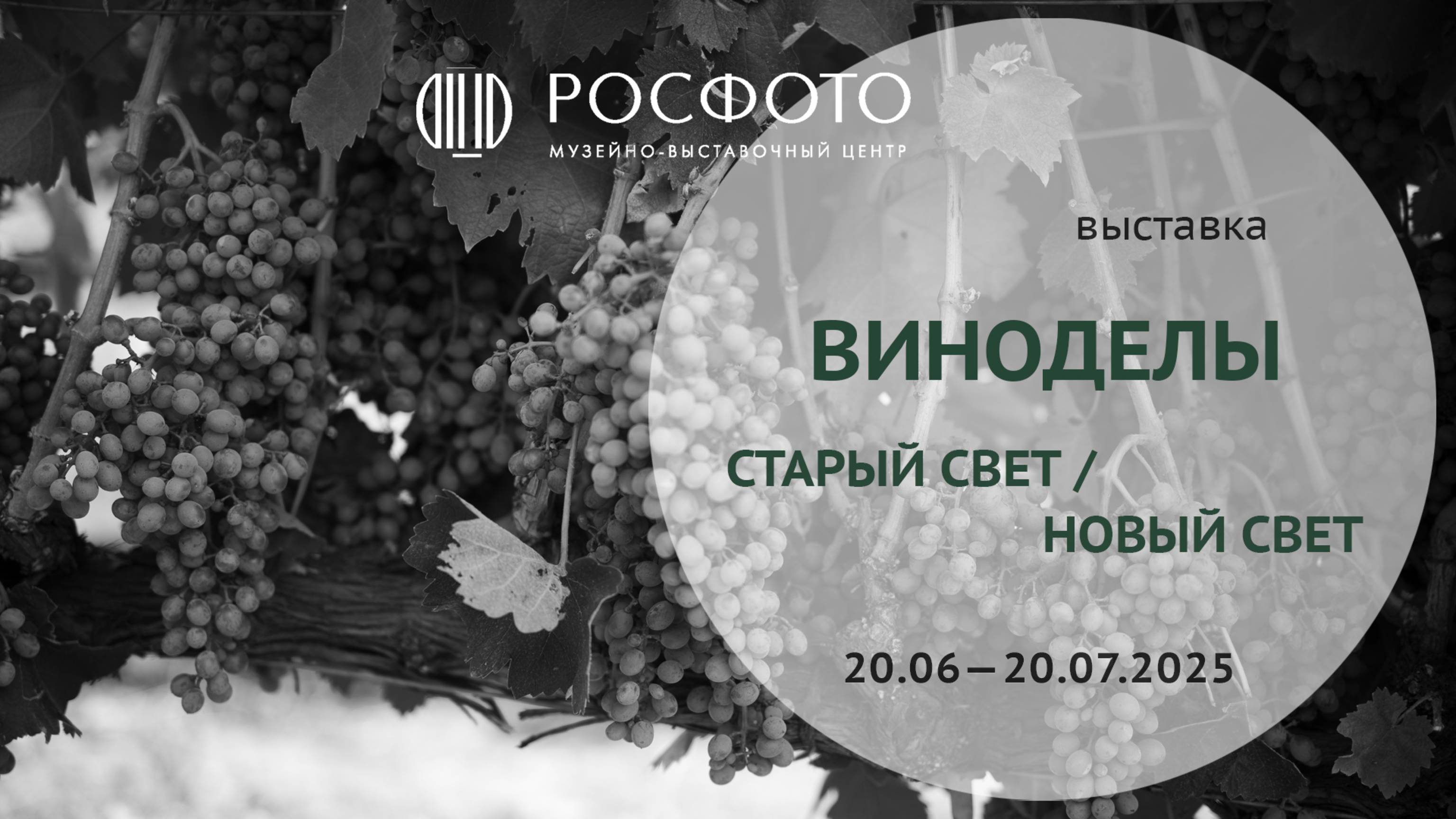 Выставка «Виноделы. Старый Свет / Новый Свет» 18+ || 2025