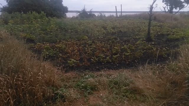 VID_20250616_085520.mp4