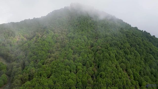 Музыка, способная влюбить в природу мгновенно - The 11th Hour -- Kirk Osamayo -- Season Two (RED)