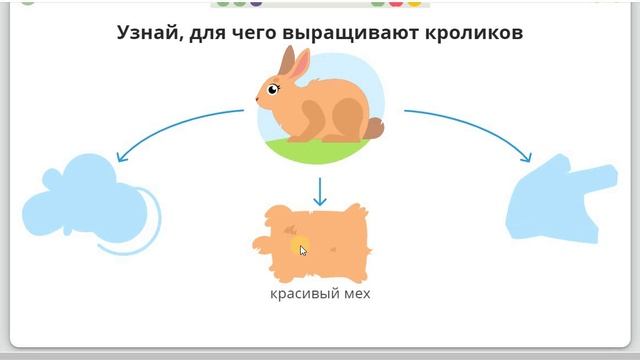 6 Экономика