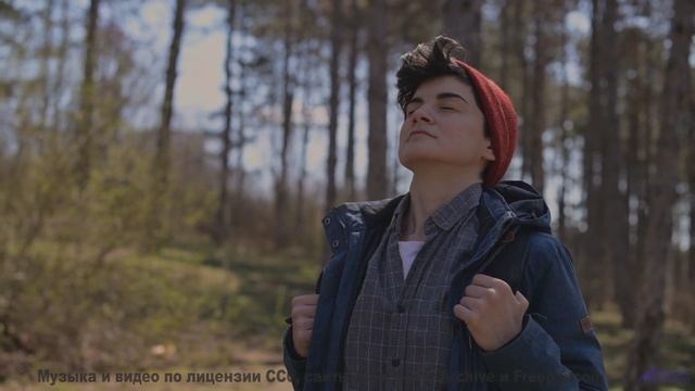 Трек переносит туда, куда самолёты не долетают - Goodbye Good Times -- HoliznaCC0 -- Makeshift Salva