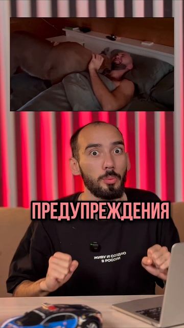 А как просыпаетесь вы? #джунгли #маугли #наука #образование #книги #пума