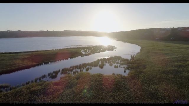 Леса звучат как песня, которую ждали всю жизнь - Inspiring and Upbeat -- Scott Holmes Music -- Happy