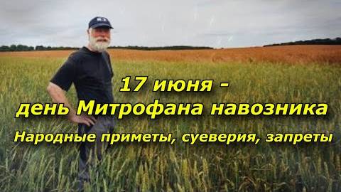 17 июня - день Митрофана навозника. Приметы, суеверия, запреты