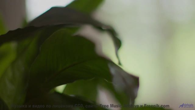Это видео изменит ваше восприятие реальности - смотрите! - Underlying -- Ketsa -- The Lost Files