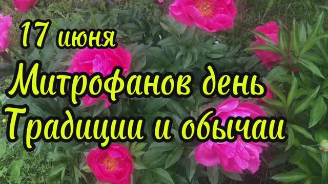 17 июня Митрофанов день