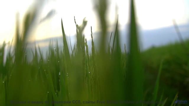 Это видео - как теплый плед в холодный вечер! - New Beginnings -- Scott Holmes Music -- Inspiring Ba