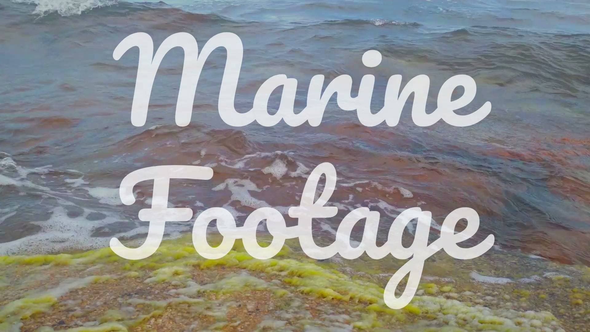 Marine footage