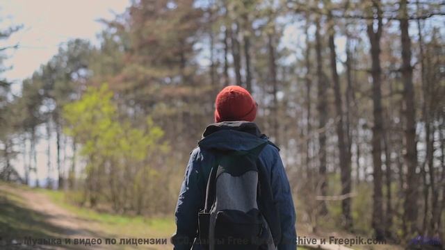 Здесь НЕЛЬЗЯ купаться после заката! - in accordance to natural law -- los pilotos -- starfish