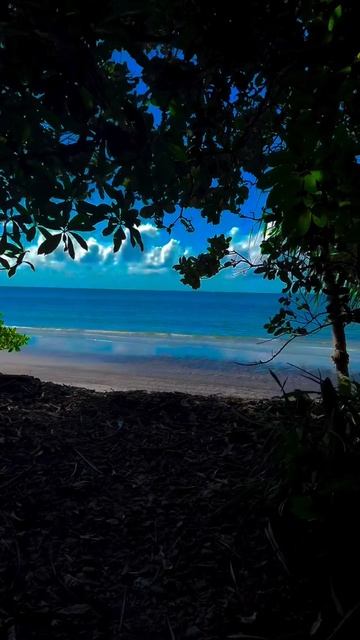 -1552411629512408197