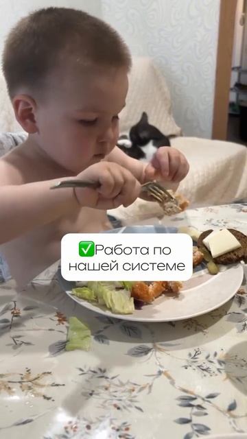 пищевая избирательность