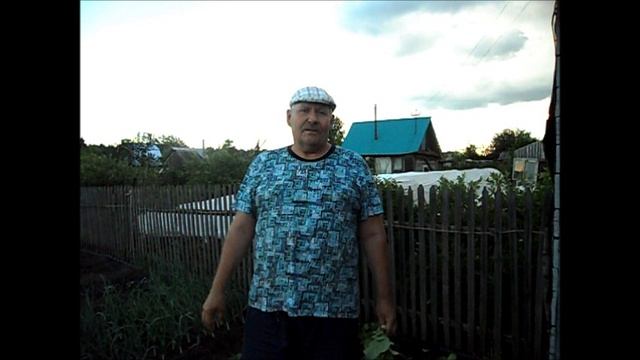Выращиваю свои семена редиса
