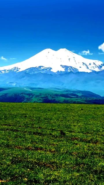 Камера сняла нечто особенное