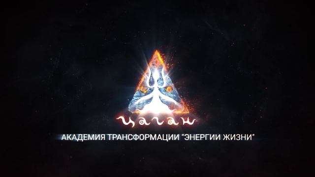 Отзывы