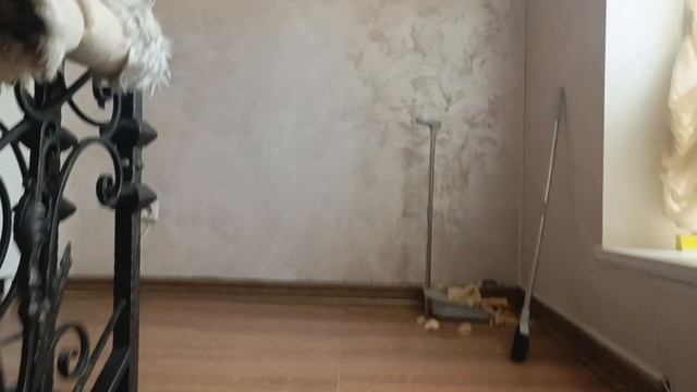 1000151779.mp4