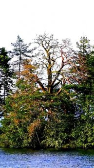 Это могло случиться с каждым