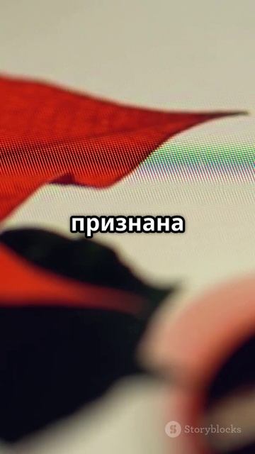 Роскомнадзор: Ютуб и Инстаграм всё ещё под запретом!