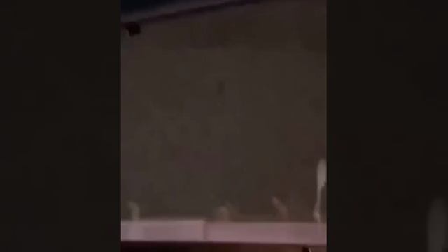 В Иране Произошёл Бунт И Массовый Побег Заключённых Из Тюрьмы в Тегеране.