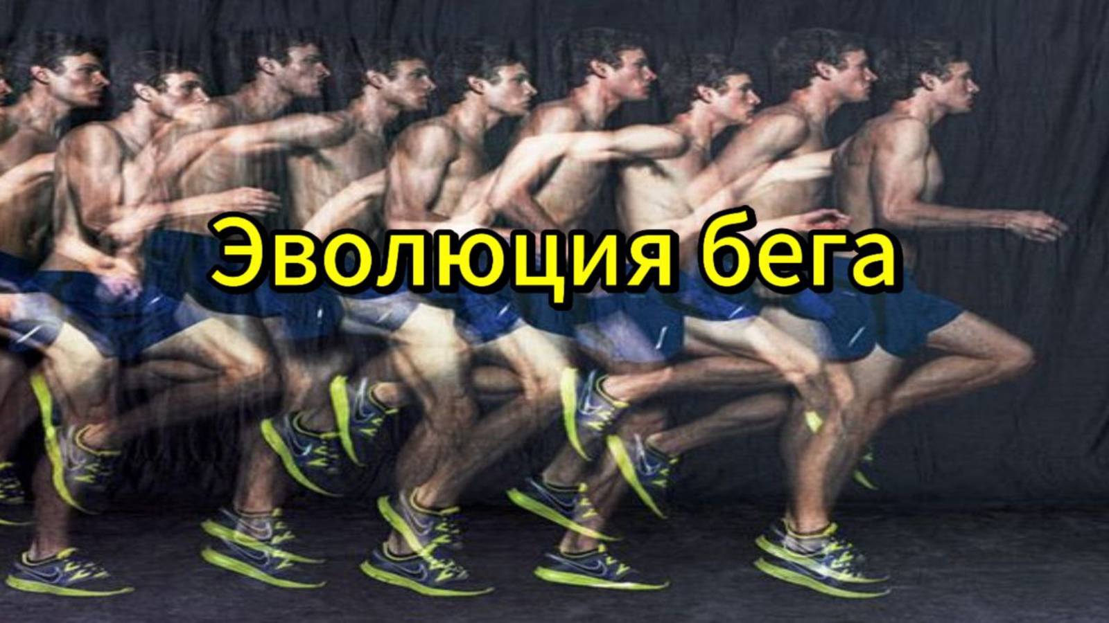 Эволюция бега