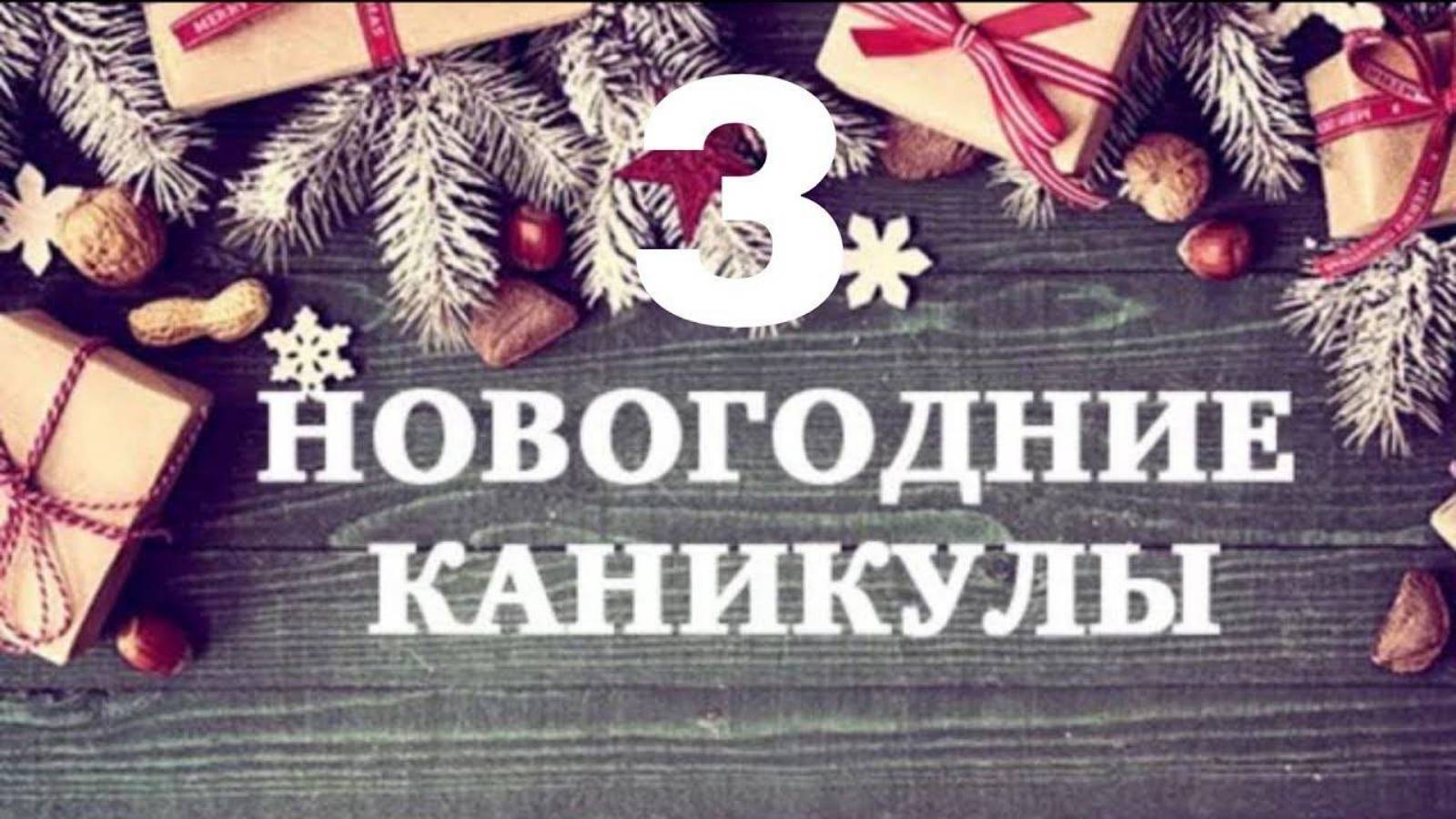 Новогодние каникулы #3 / Грозный