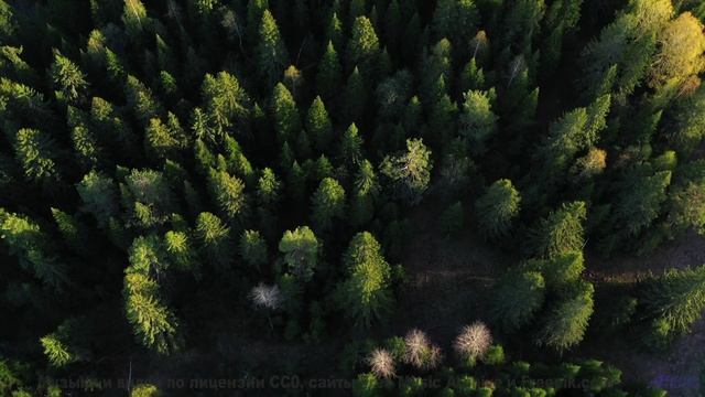 Невозможно отвести взгляд под такую музыку и виды - 09 Jiggy -- Ketsa -- Nothing Left Behind