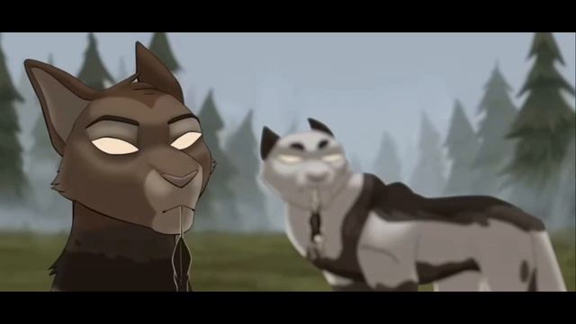 Коты воители мап