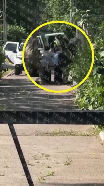 Просто как к говну к своим гражданам.Ну а как еще относиться к рабам и безмолвному,запуганному стаду