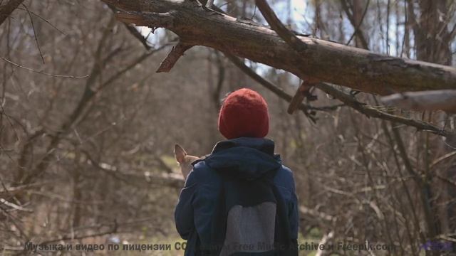Песня, которая звучит громче, когда вы теряетесь вместе - Reflections -- Scott Holmes Music -- Indie