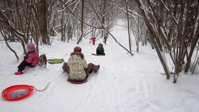 Передельцевский лес