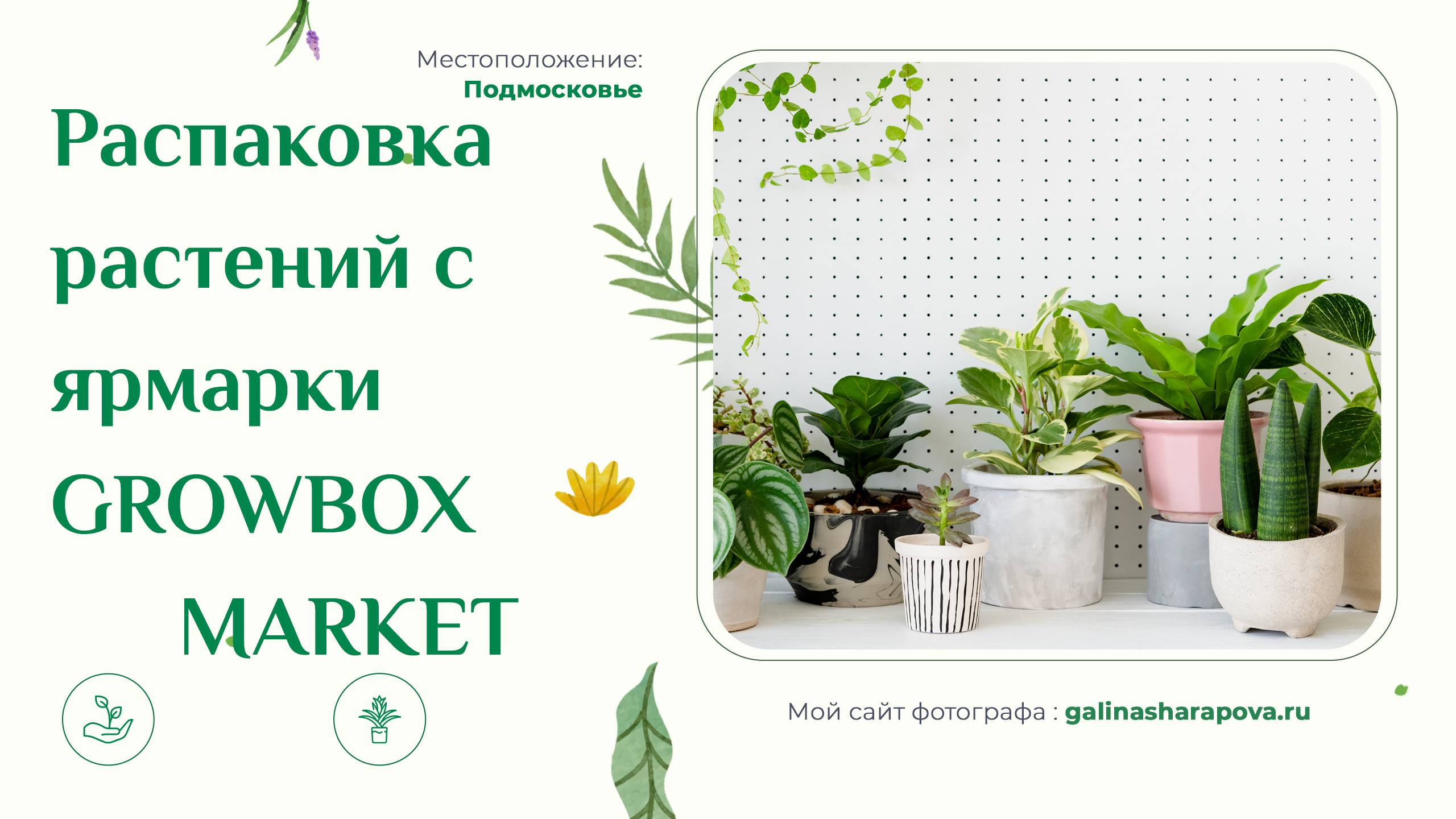 Распаковка растений с выставки GrowBox Маркет и от Петра Лапшина