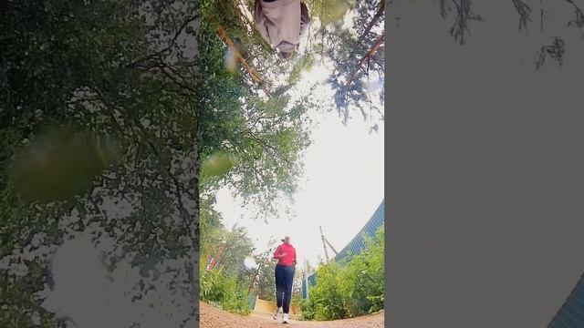 Семейная пробежка в дождливом лесу