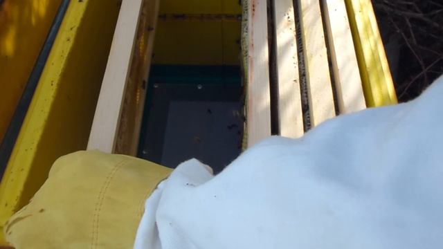 Готовим пчел к зиме улей на 145 рамку