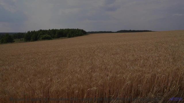 Мелодия, которая заставит вас забыть обо всём, кроме друг друга... - Photo Booth -- LOPKERJO -- FATE