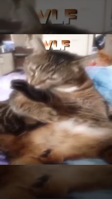 Ответь ей!)
