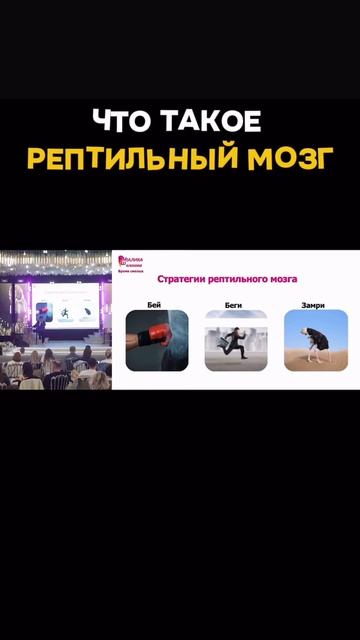 Что такое рептильный мозг