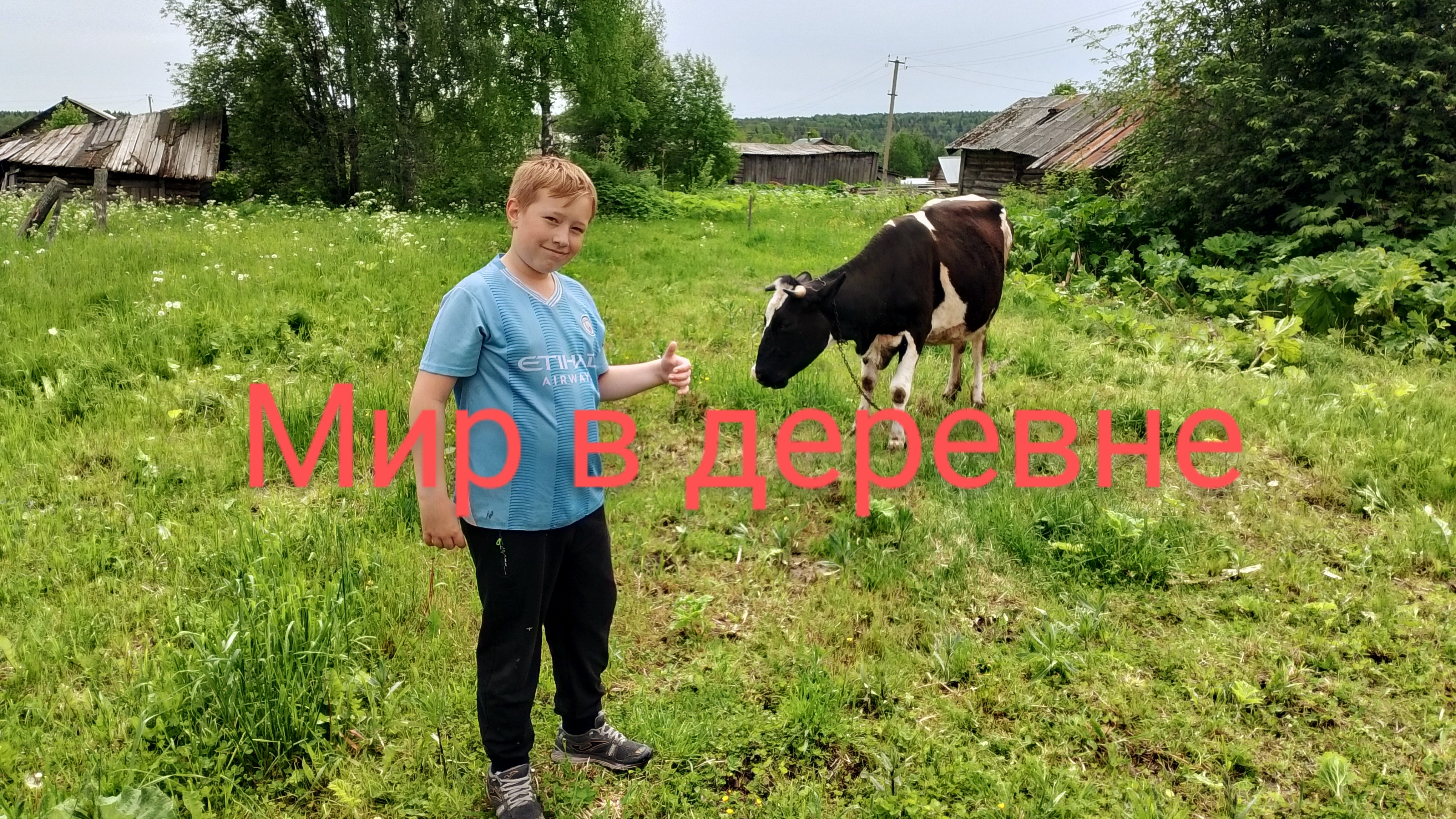 обзор на Люкс купе 7