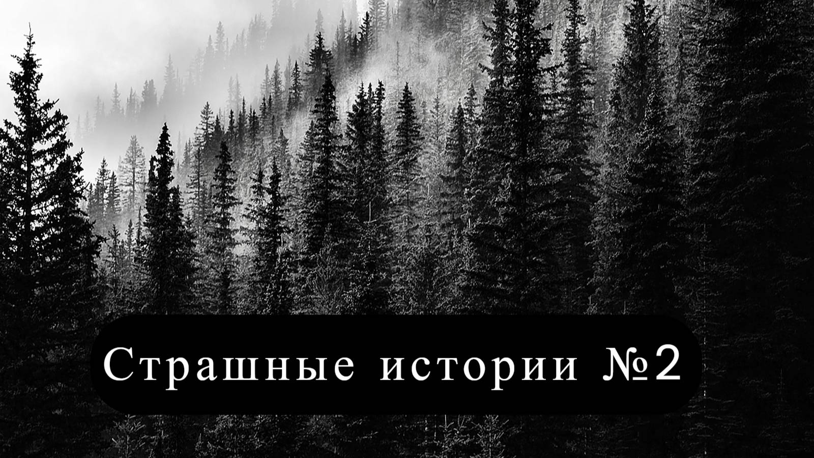ЗРЯ ОНА СМОТРЕЛА ТУДА. Страшные истории на ночь