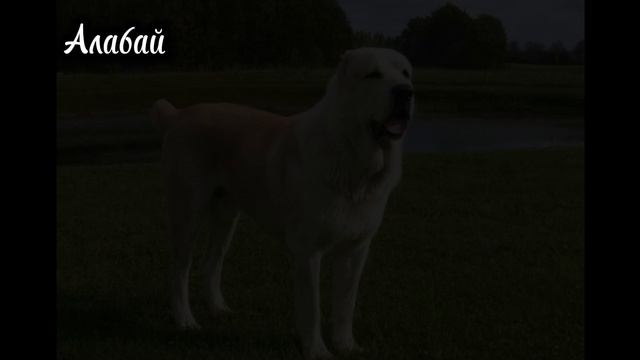 кто угадает закреплю комментарий (даже если они повторятся)