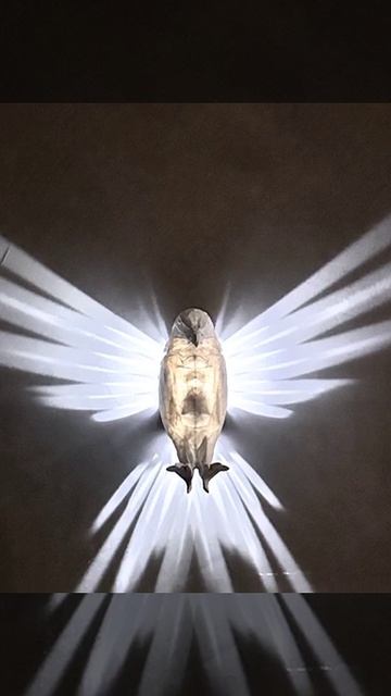 5f0571178a652e29da91306391e428bb