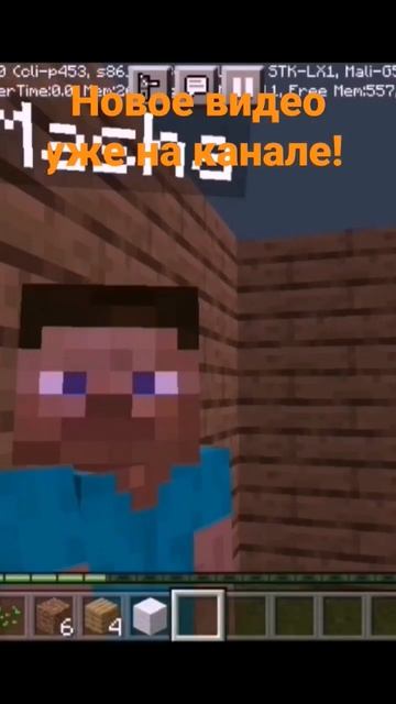 МАЙНКРАФТИМ С СЕСТРОЙ! #youtube #minecraft