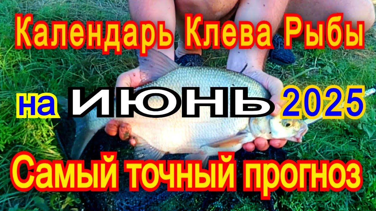 Календарь клева на ИЮНЬ 2025 Прогноз клева рыбы Лунный Календарь рыбака 2025!