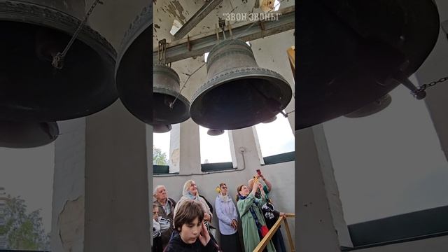 Николай Шеховцев, колокольный звон на фестивале колокольного звона, Троицкий храм, д. Аверкиево 2025