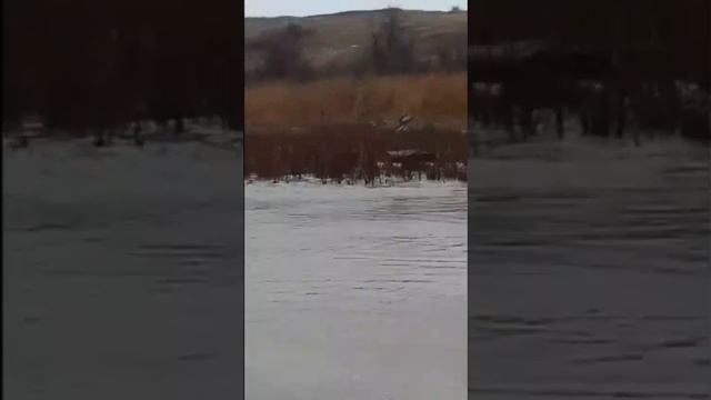 1000126654.mp4