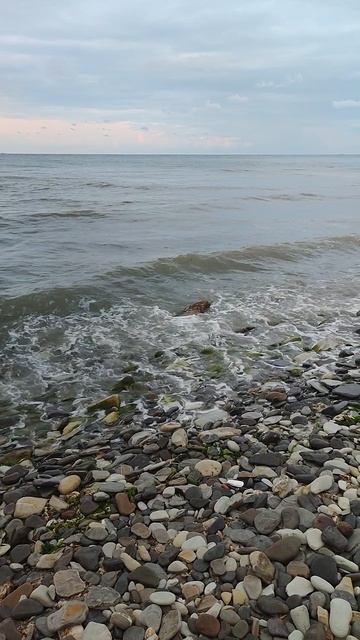 Чёрное море, Новороссийск.mp4