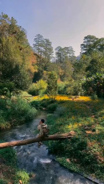 Кто не умеет получать радость от малого, никогда не будет доволен и многим.
🌺#ЗемныеЭнергии #Шаман