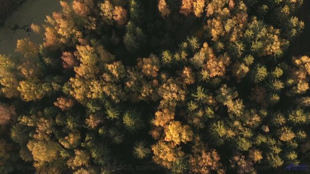Камера ведёт туда, где заканчиваются слова и начинается звук - 7AM -- Ketsa -- Equinox Rising