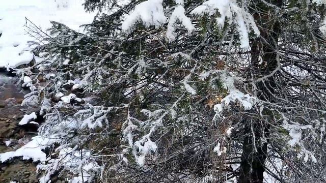 Sightseeing Nature of Kazakhstan. Alma-Arasan in winter. Путешествие по Казахстану. Сказочное ущелье