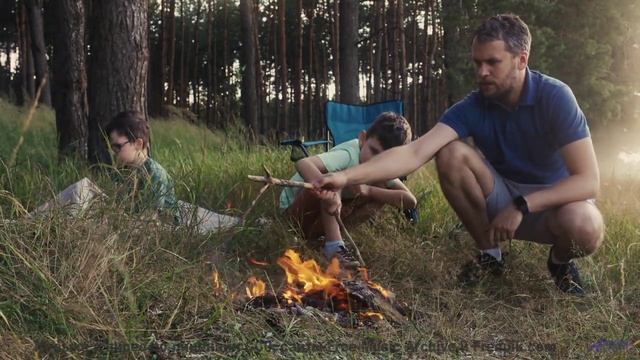Музыка, написанная алгоритмом - сможете ли вы отличить от человеческой - Shines Through Trees -- Pod